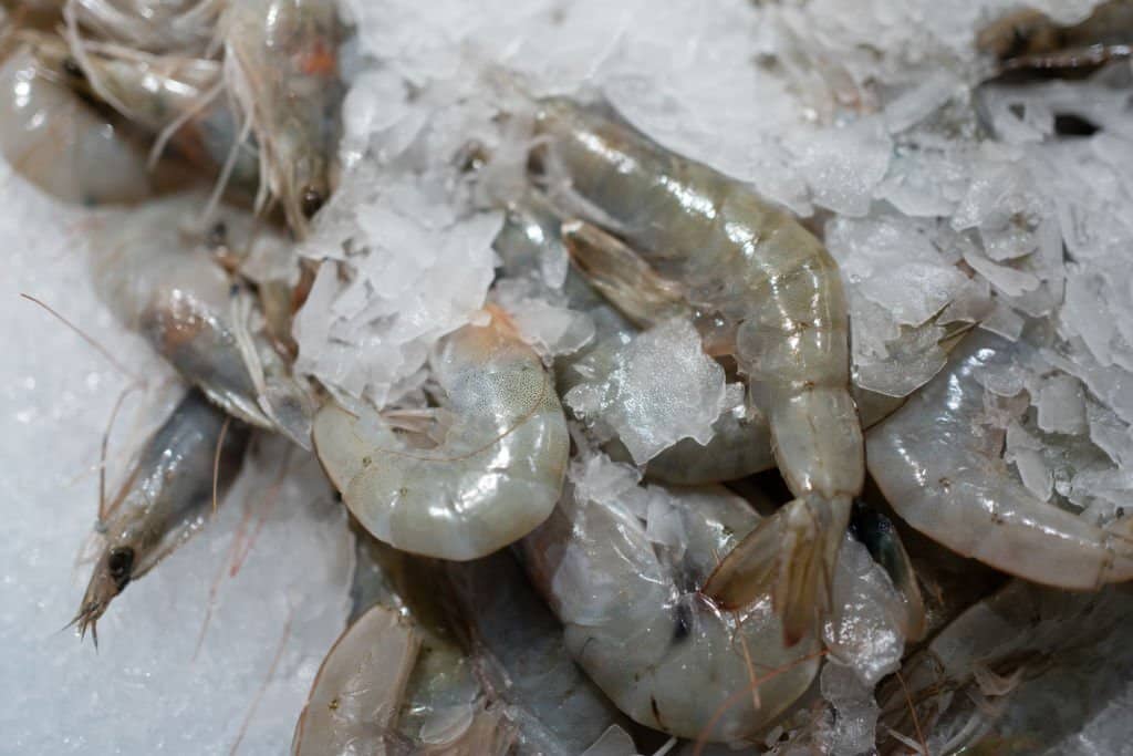 How to Freeze Raw Shrimp